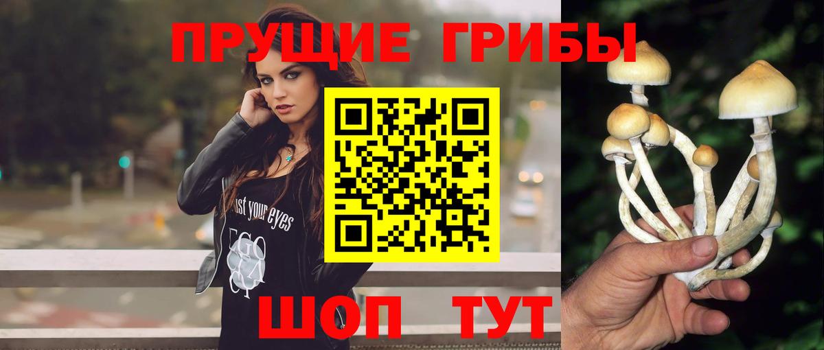 Галлюциногенные грибы Magic Shrooms  Вход с VPN  Полевской 